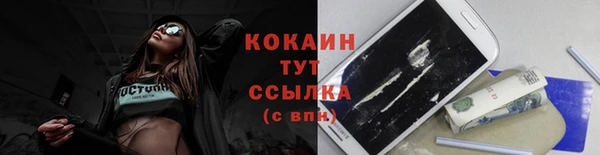 бошки Ладушкин