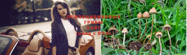 бошки Ладушкин