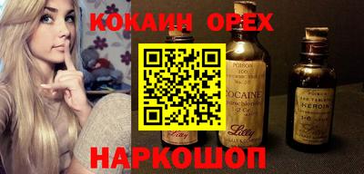 молекула духа Кингисепп