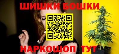 молекула духа Кингисепп