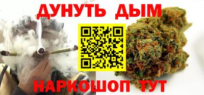 молекула духа Кингисепп