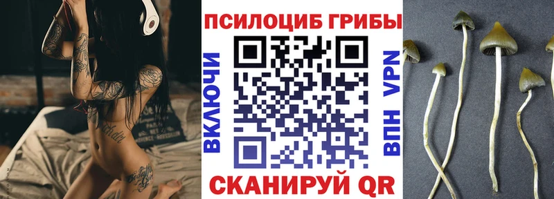 Галлюциногенные грибы Psilocybine cubensis  Тверь 