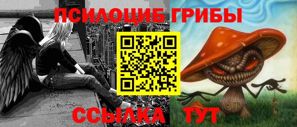 Псилоцибиновые грибы Cubensis  Вход с VPN  Тверь 