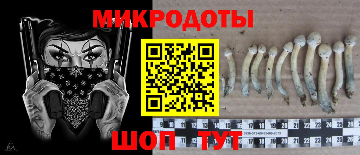 Псилоцибиновые грибы ЛСД Тверь