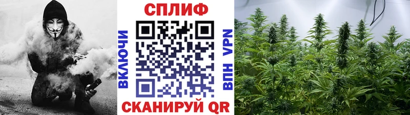 Бошки марихуана конопля  Тверь 